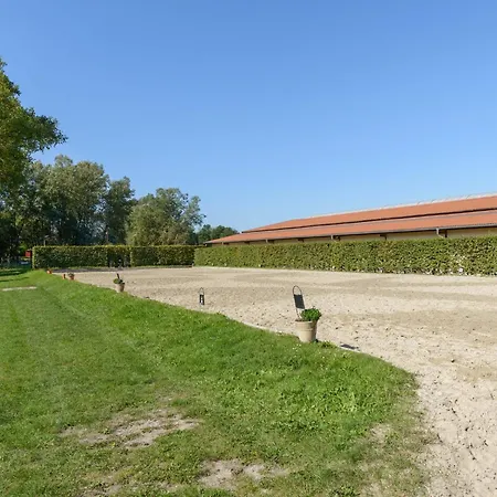 Mit Terrasse, Cleaning Included Prázdninový dům Eschede